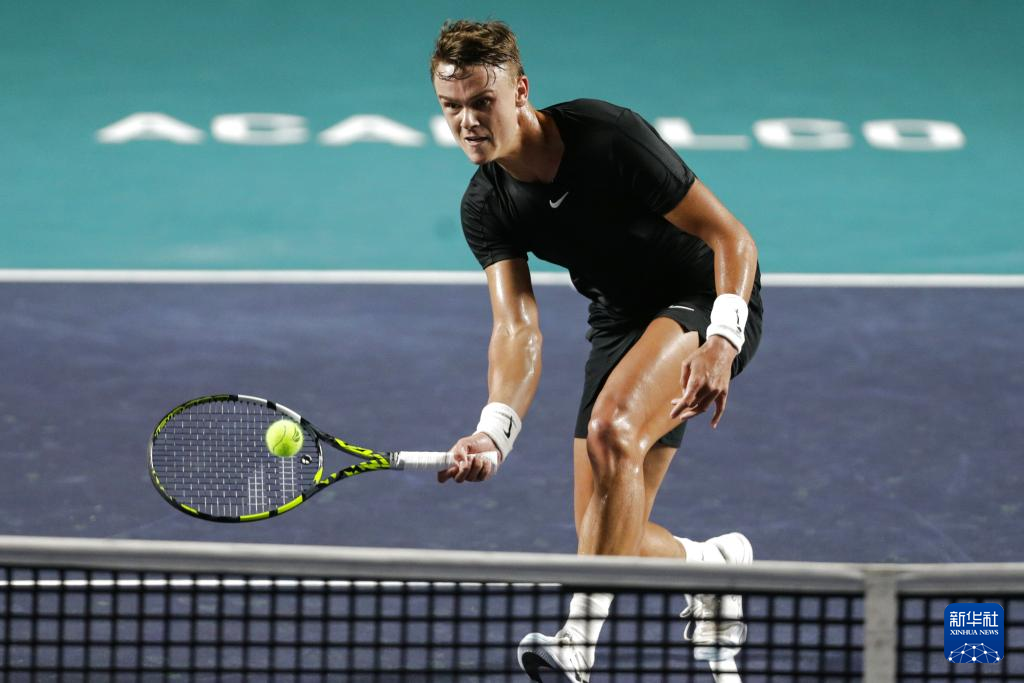 世界级的球 世界级的球